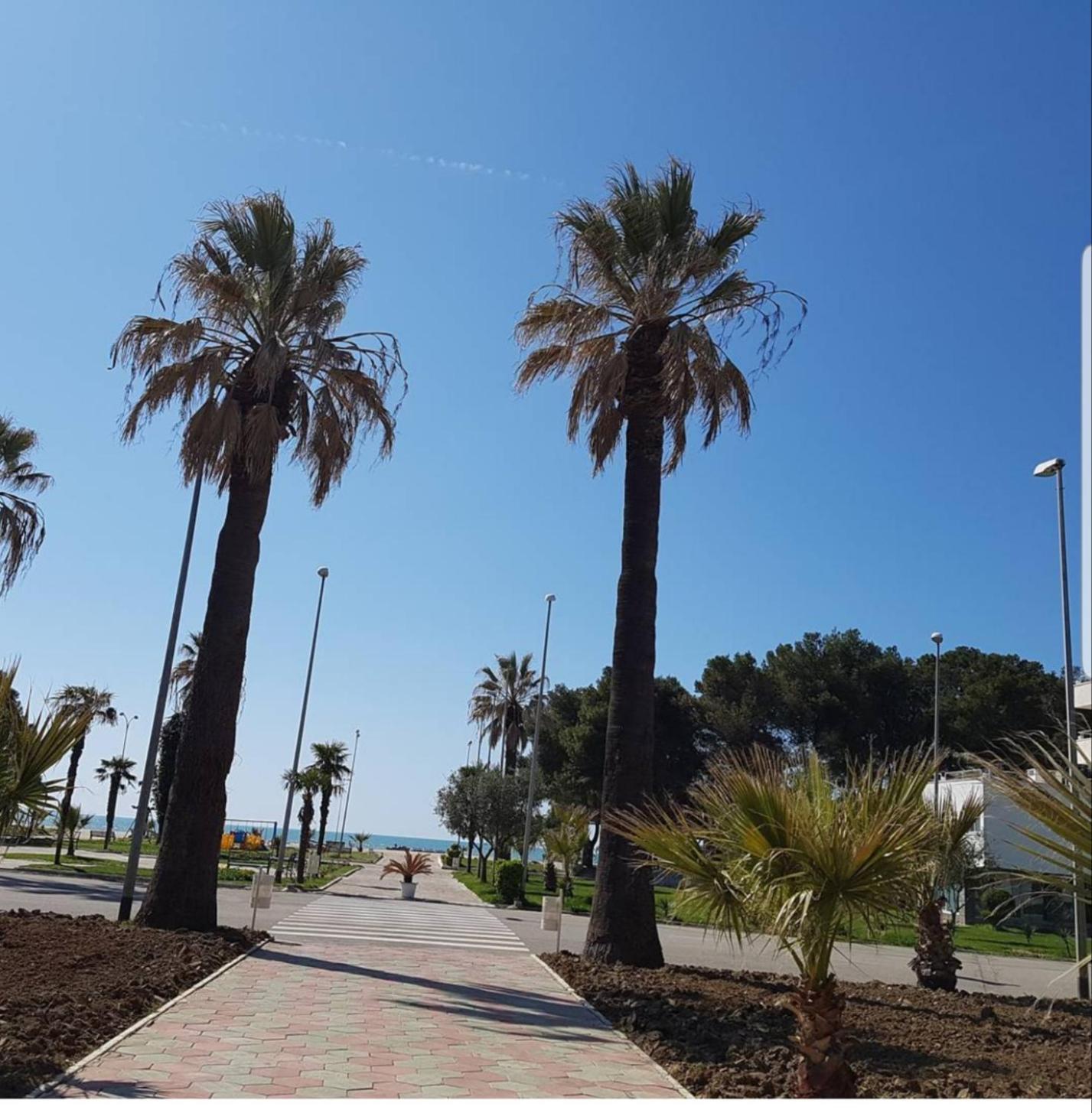 Amaris Apartments Durrës 객실 사진
